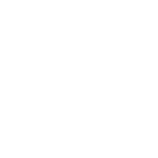 swan1